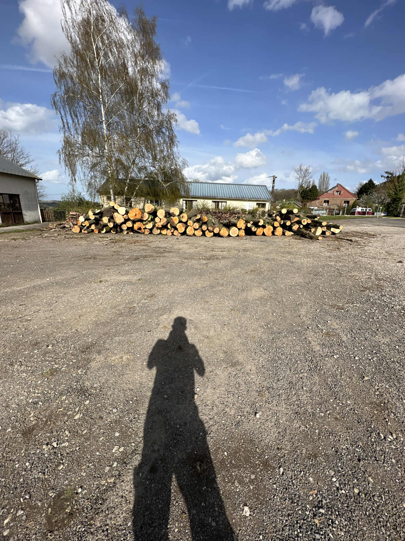 Lire la suite à propos de l’article Abattage d&rsquo;arbres Beaucamps-le-Vieux (80)