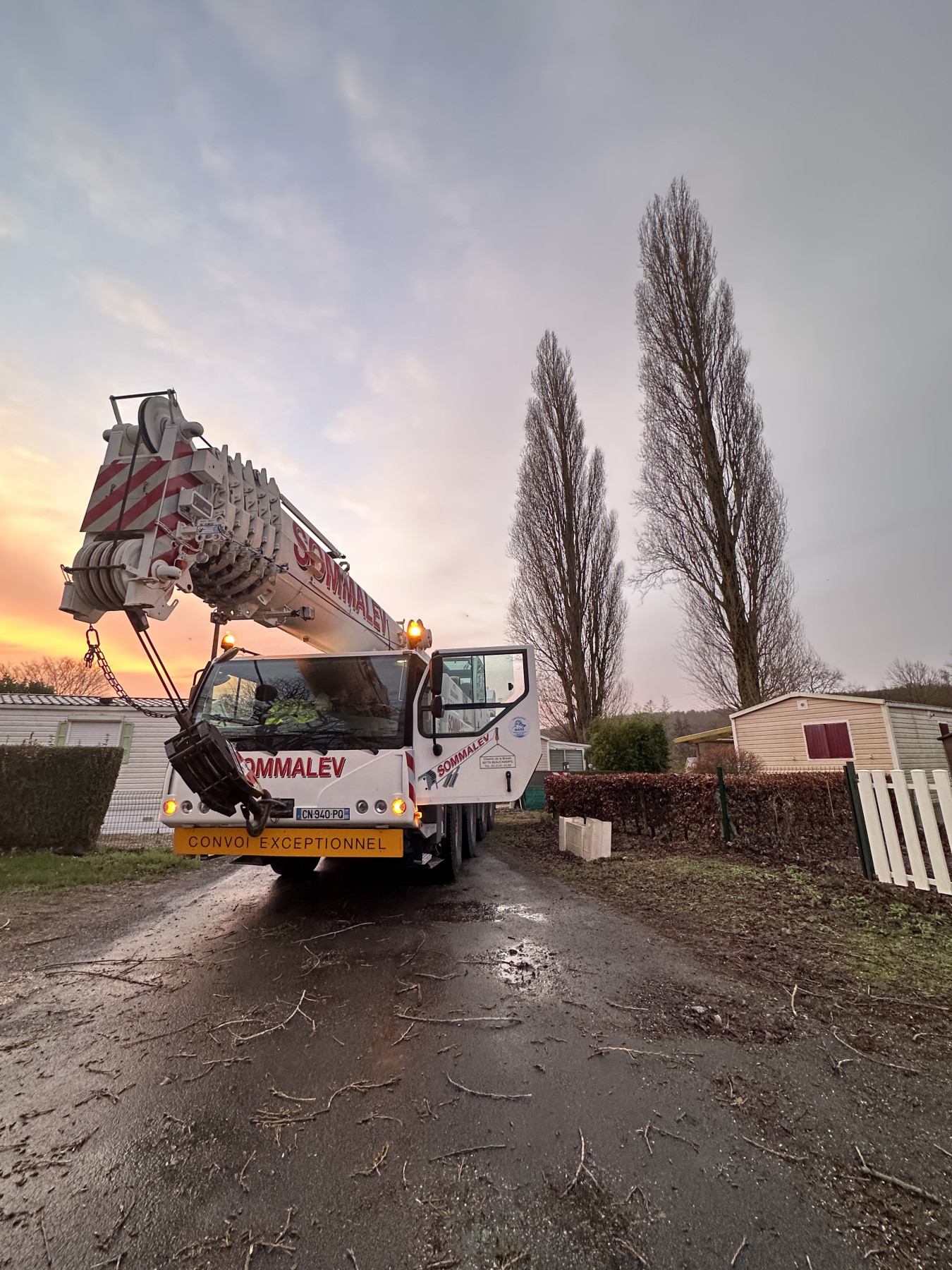 Abattage Bouvaincourt sur Bresle