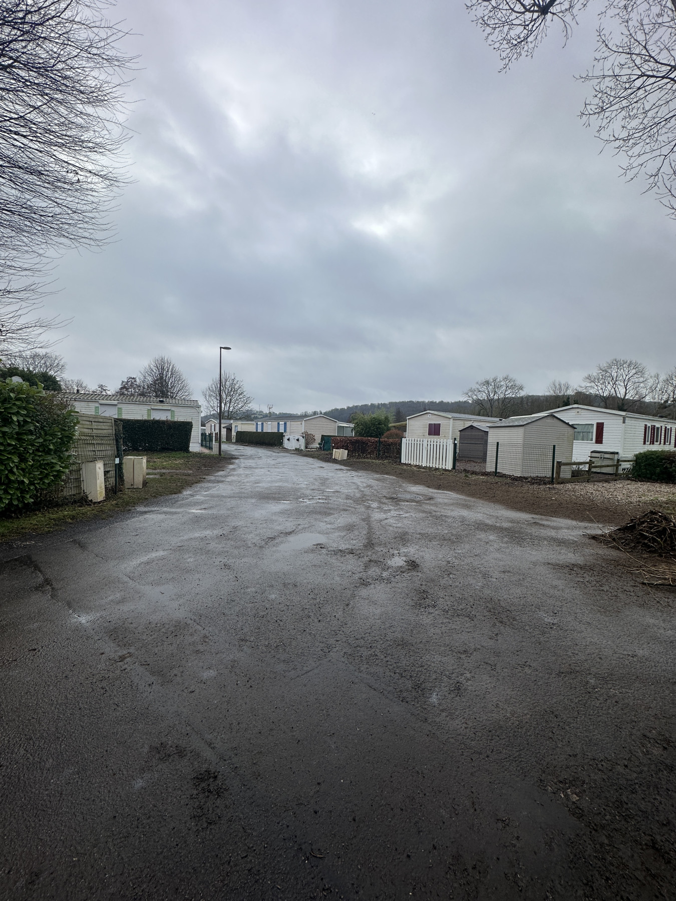 Abattage Bouvaincourt sur Bresle