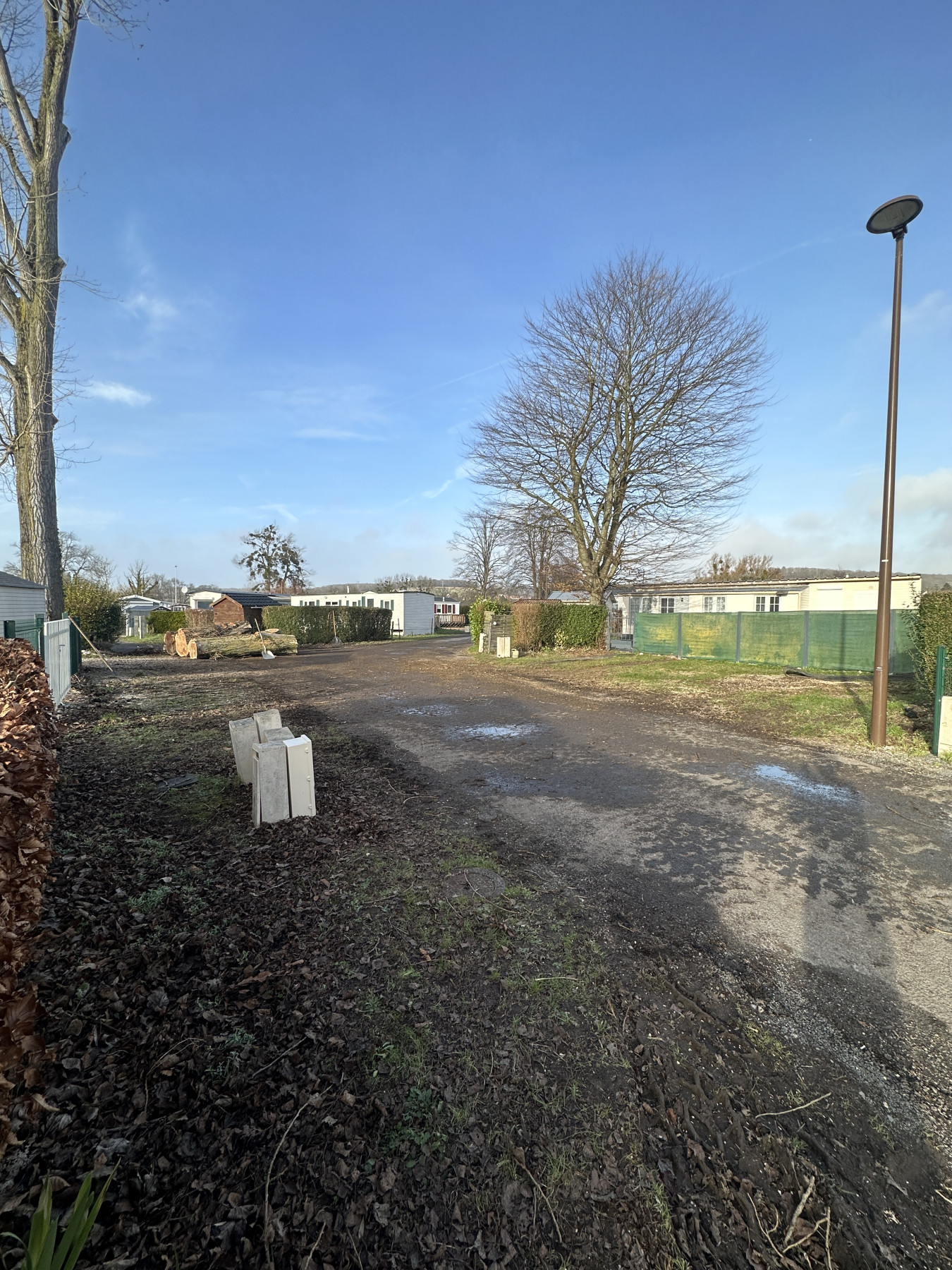 Abattage Bouvaincourt sur Bresle