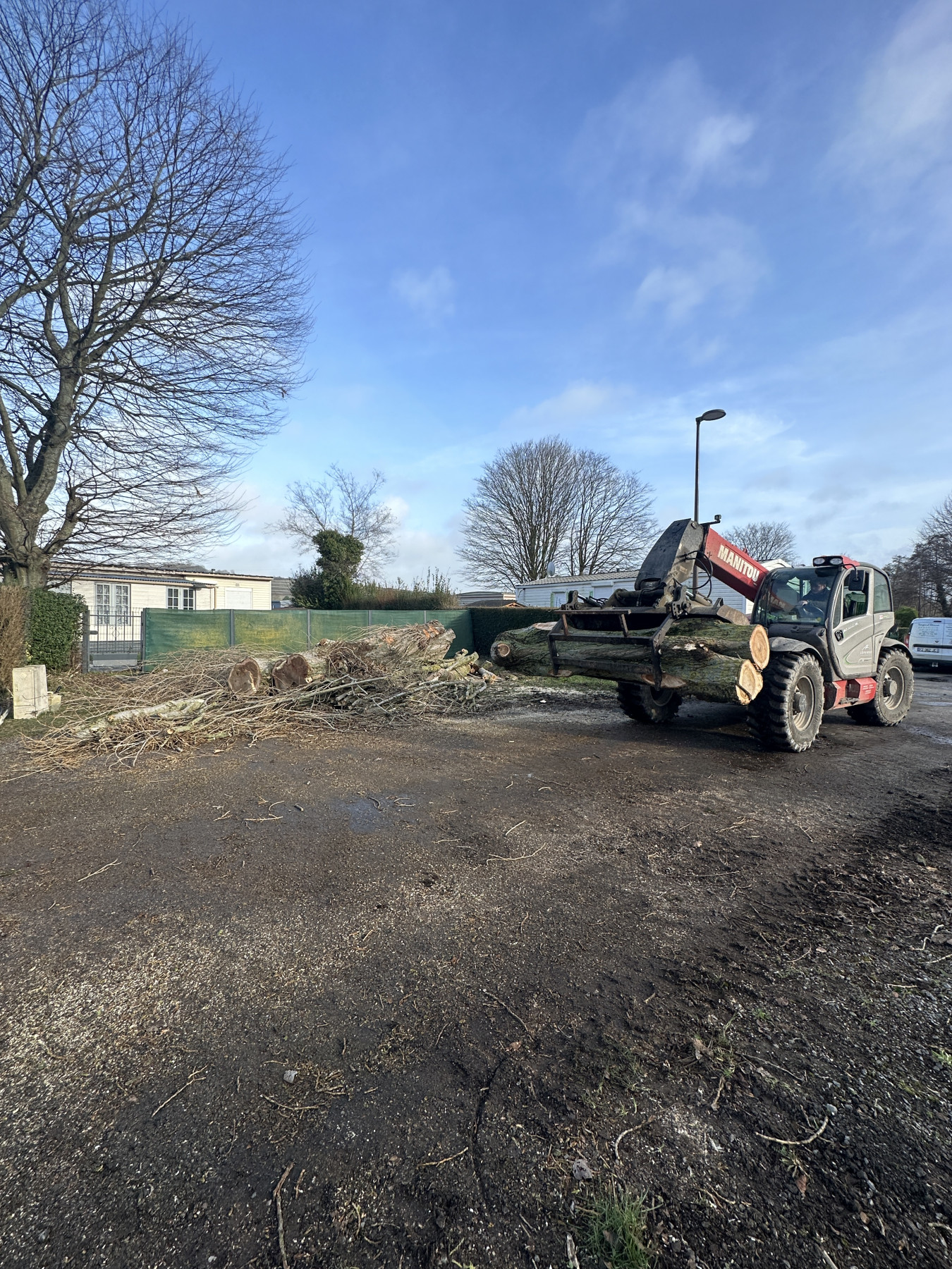 Abattage Bouvaincourt sur Bresle